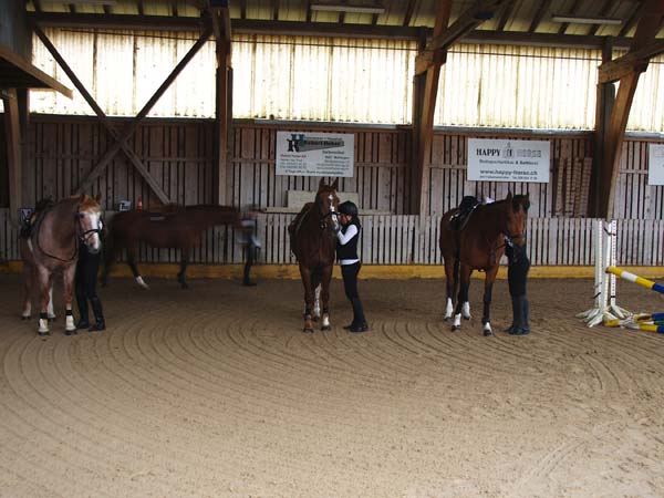 Brevet auf Weidhof 2010-10