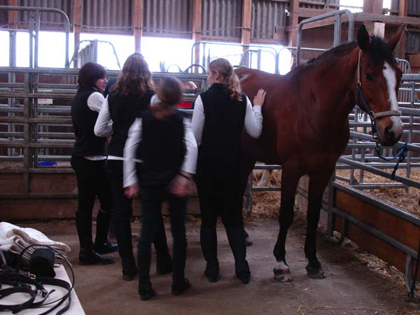 Brevet auf Weidhof 2010-16