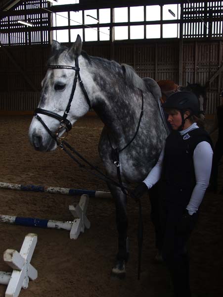 Brevet auf Weidhof 2010-17