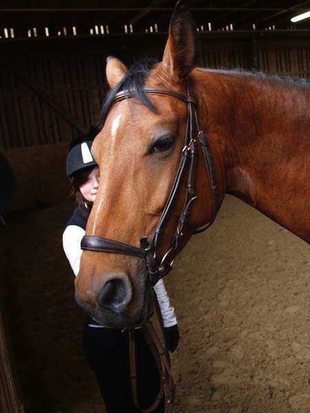 Brevet auf Weidhof 2010-18