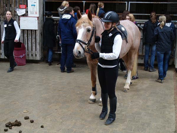Brevet auf Weidhof 2010-28