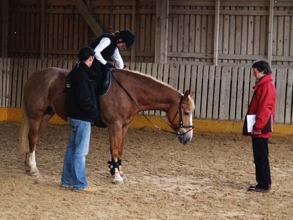 Brevet auf Weidhof 2010-36