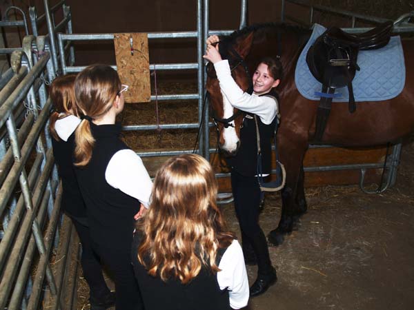 Brevet auf Weidhof 2010-38