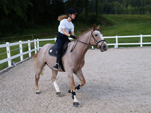 ReitBrevetWeidhof090621-103