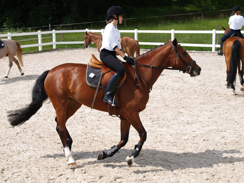 ReitBrevetWeidhof090621-112