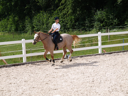 ReitBrevetWeidhof090621-132