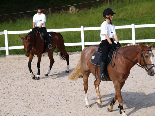 ReitBrevetWeidhof090621-15