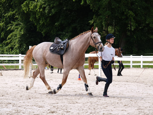 ReitBrevetWeidhof090621-151