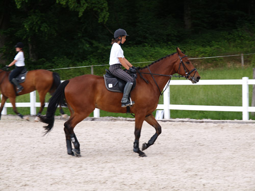 ReitBrevetWeidhof090621-175