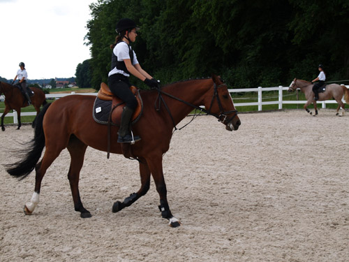 ReitBrevetWeidhof090621-189