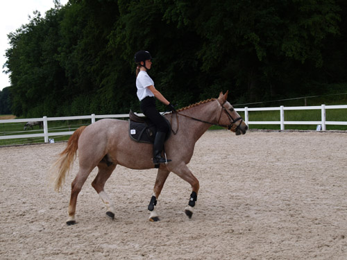 ReitBrevetWeidhof090621-191