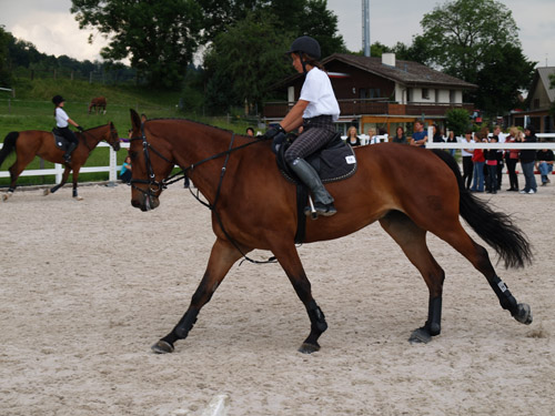 ReitBrevetWeidhof090621-192