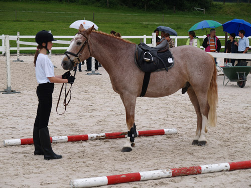 ReitBrevetWeidhof090621-247