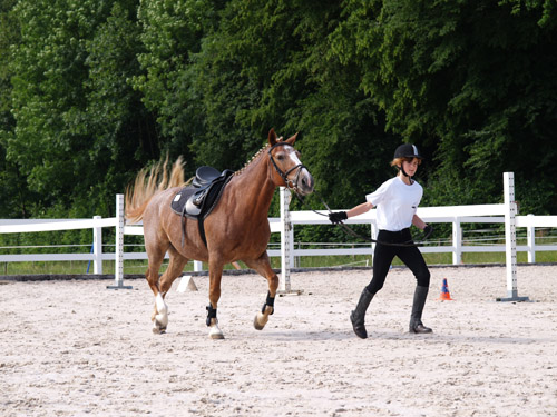 ReitBrevetWeidhof090621-33