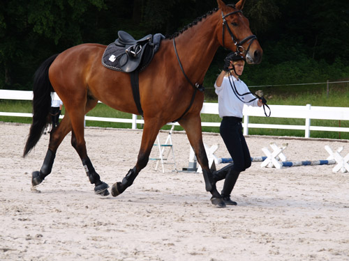 ReitBrevetWeidhof090621-46