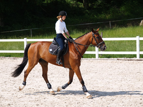 ReitBrevetWeidhof090621-85