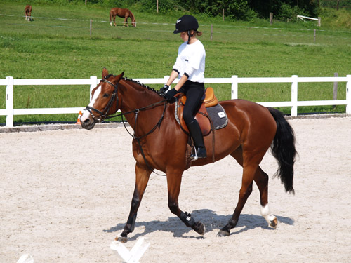 ReitBrevetWeidhof090621-90