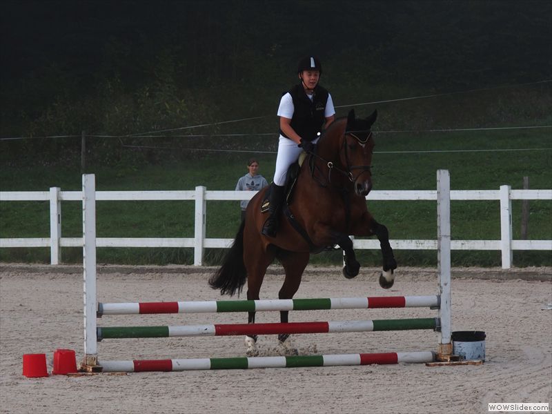 Spring&Dressurprüfung2012-01