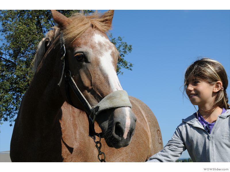 Ferien-Reitlager2012-11