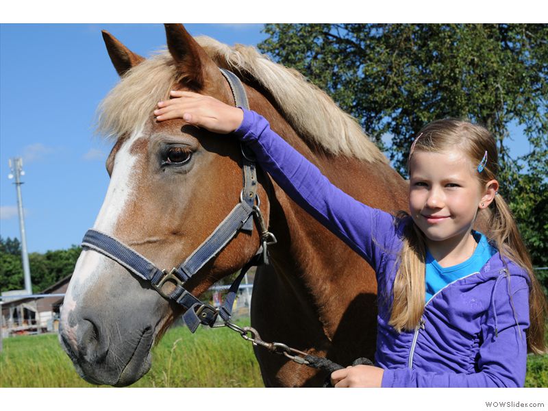 Ferien-Reitlager2012-15