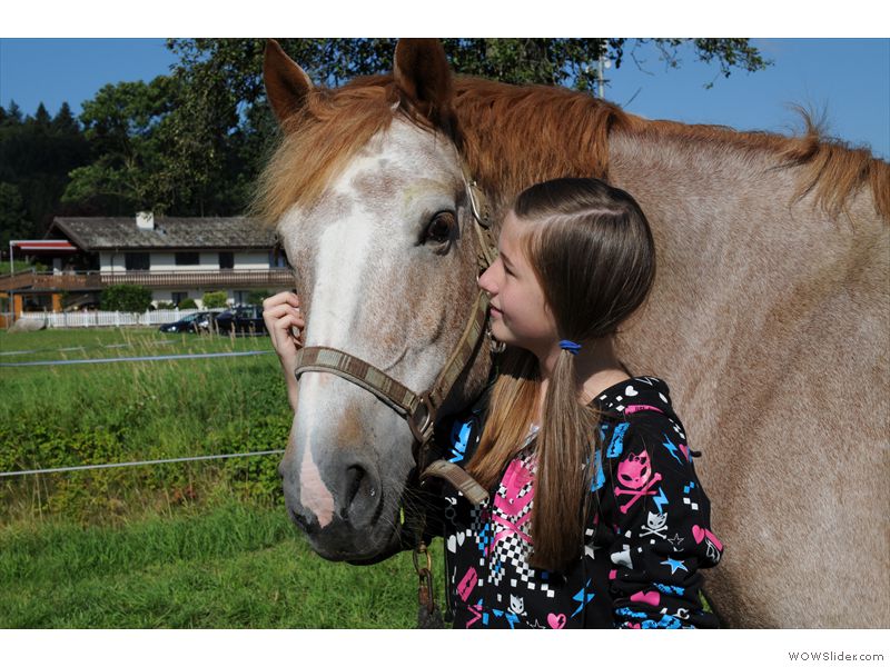 Ferien-Reitlager2012-16