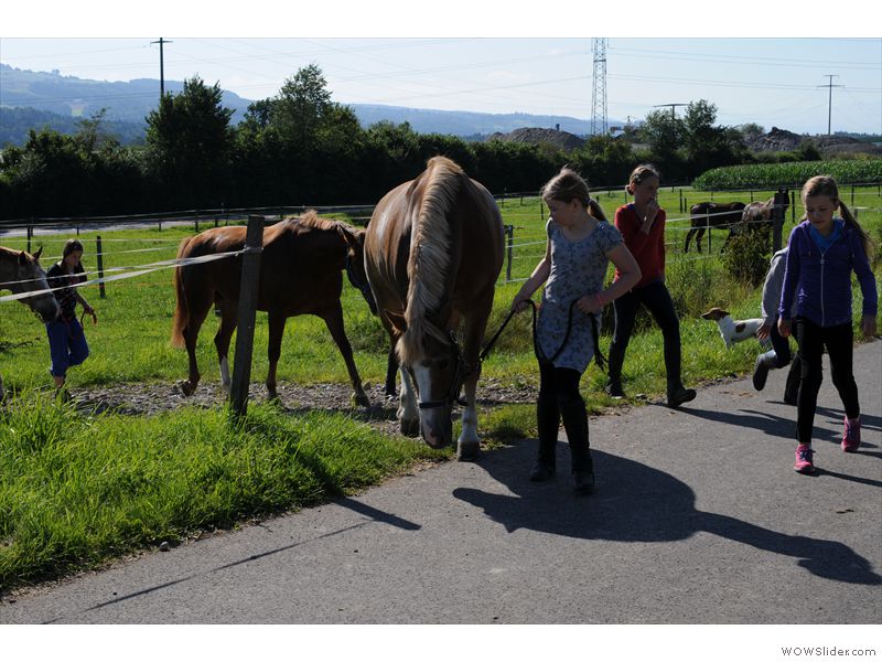 Ferien-Reitlager2012-19