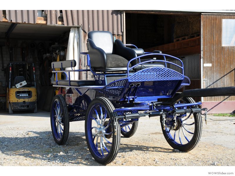 Ferien-Reitlager2012-29