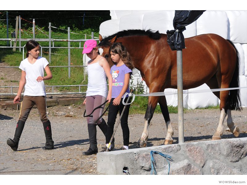 Ferien-Reitlager2012-30