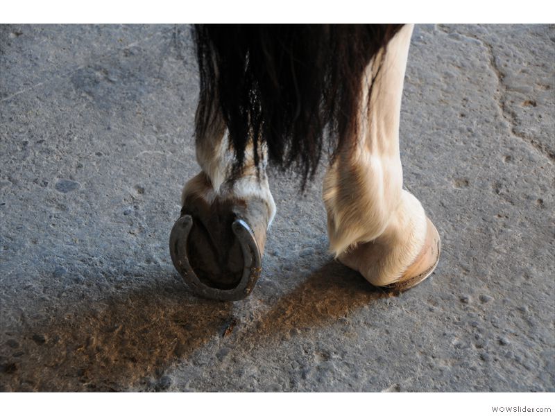 Ferien-Reitlager2012-31