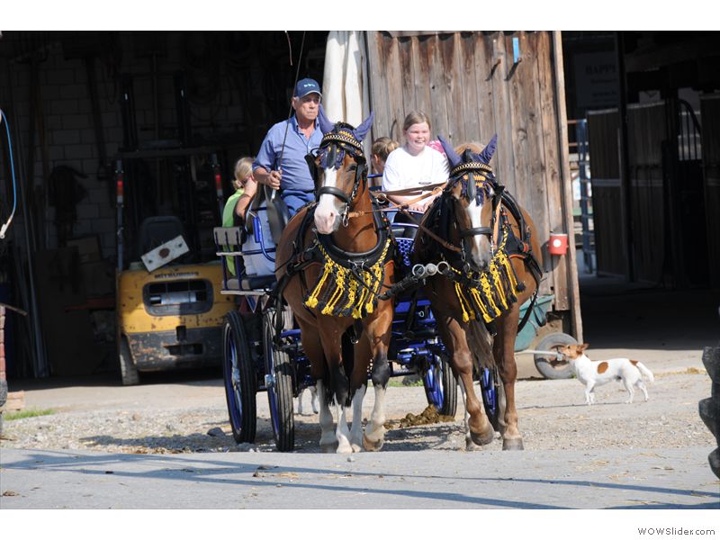 Ferien-Reitlager2012-33