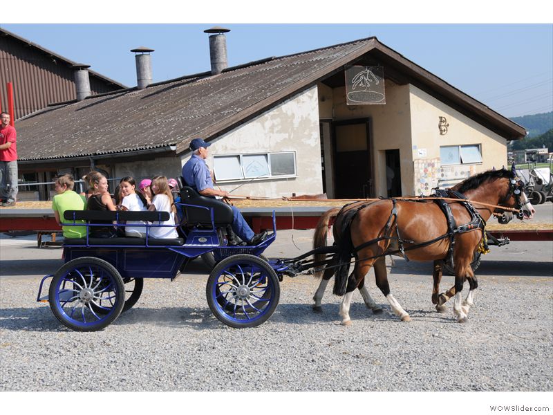 Ferien-Reitlager2012-34