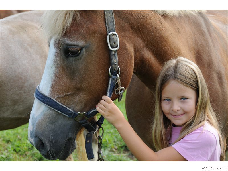 Ferien-Reitlager2012-41