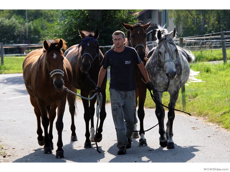 Ferien-Reitlager2012-48