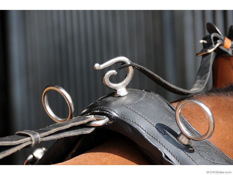 Ferien-Reitlager2012-70