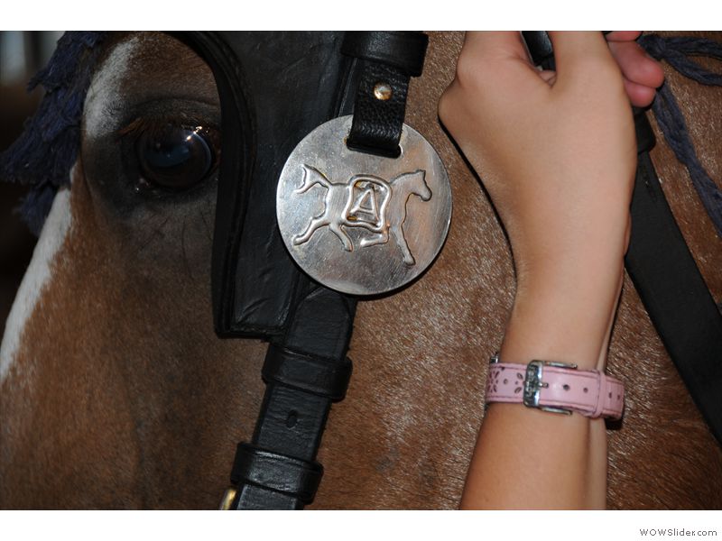 Ferien-Reitlager2012-71