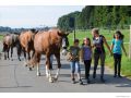 Ferien-Reitlager2012-49