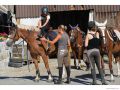Ferien-Reitlager2012-57