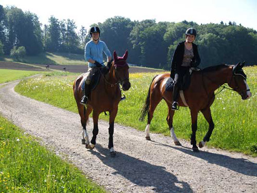 Patrouillenritt09unterwegs-01