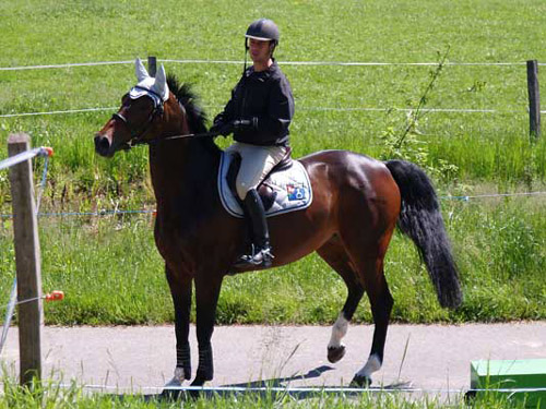 Patrouillenritt09unterwegs-03