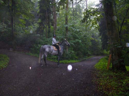 Patroullienritt_20100530-082356_Weidhof