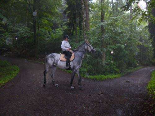 Patroullienritt_20100530-082416_Weidhof