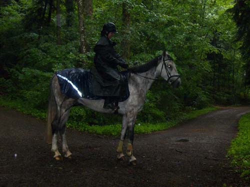 Patroullienritt_20100530-090738_Weidhof