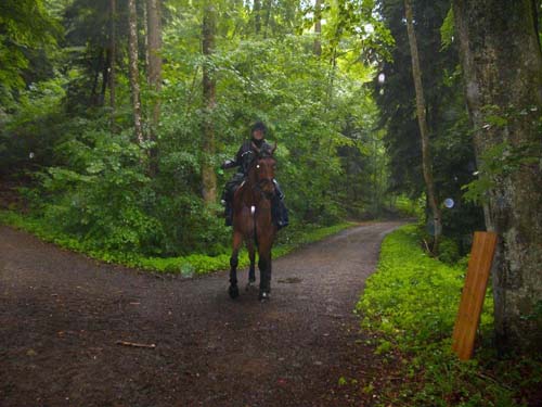 Patroullienritt_20100530-091702_Weidhof