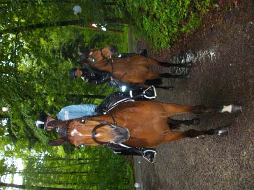 Patroullienritt_20100530-091850_Weidhof