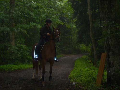 Patroullienritt_20100530-093238_Weidhof