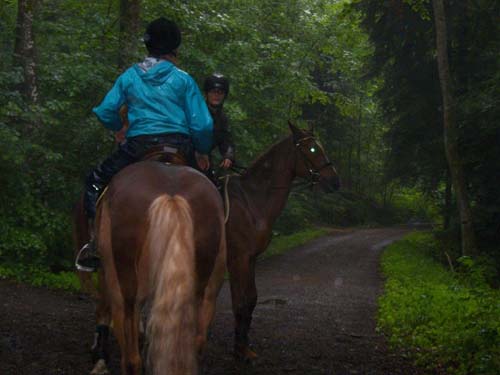 Patroullienritt_20100530-093258_Weidhof