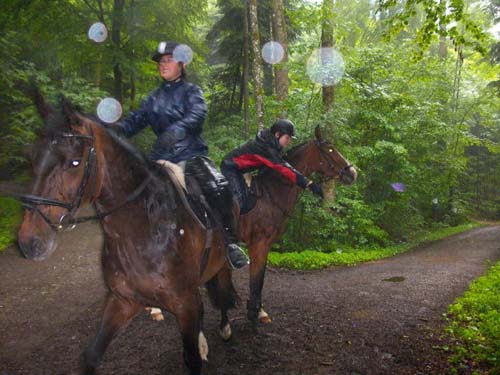 Patroullienritt_20100530-095406_Weidhof