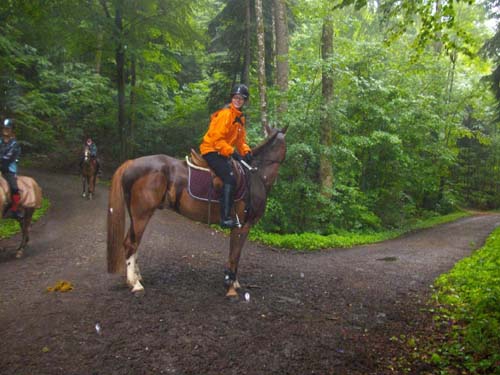 Patroullienritt_20100530-095944_Weidhof