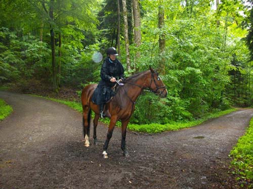 Patroullienritt_20100530-100728_Weidhof