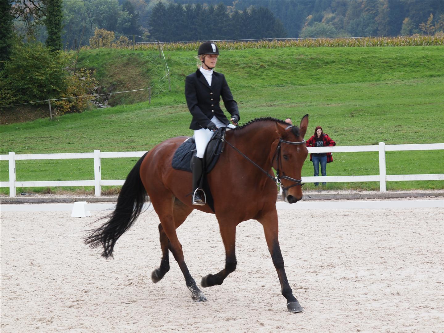 131020PferdesporttagWeidhof-13 (Large).JPG